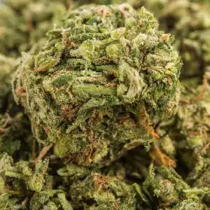 découvrez comment les cdb (circuit de distribution de boissons) interagissent avec les odeurs pour influencer l'expérience des consommateurs. explorez l'importance de l'odeur dans le choix des boissons et son impact sur notre perception gustative.